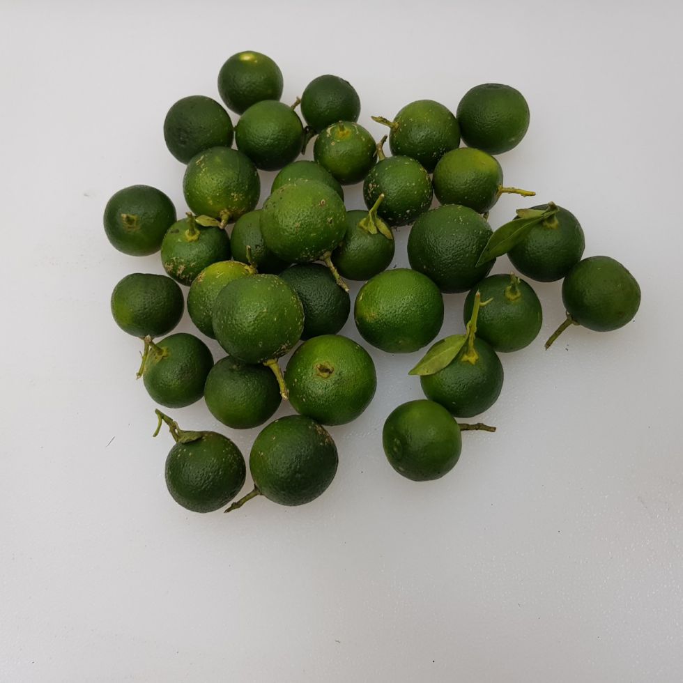 FRESH PRODUCE CALAMANSI NATURAL GROW PJV  KG  @250G