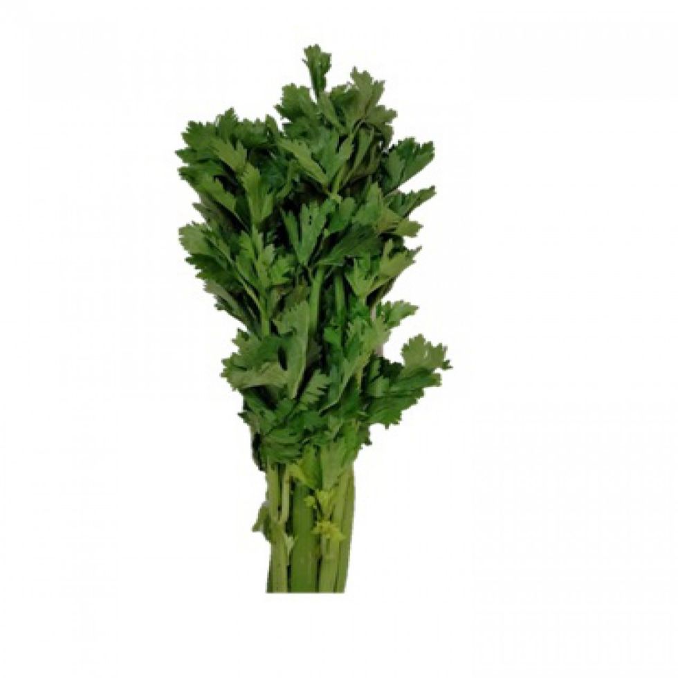 FRESH PRODUCE FRESH CELERY CHOPPED  @250G