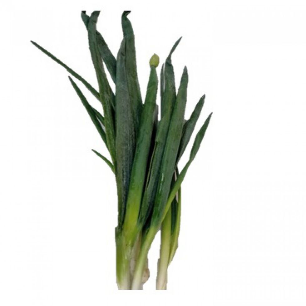 FRESH PRODUCE 1 STALK PJV ONION LEEKS, CHOPPED FOR GARNISH  @250G