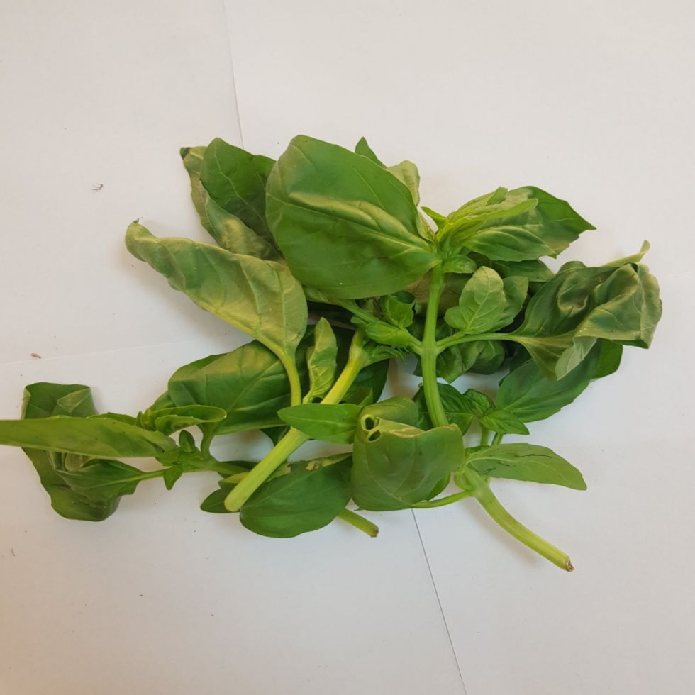 FRESH PRODUCE BASIL NATURAL GROW PJV  KG  @250G