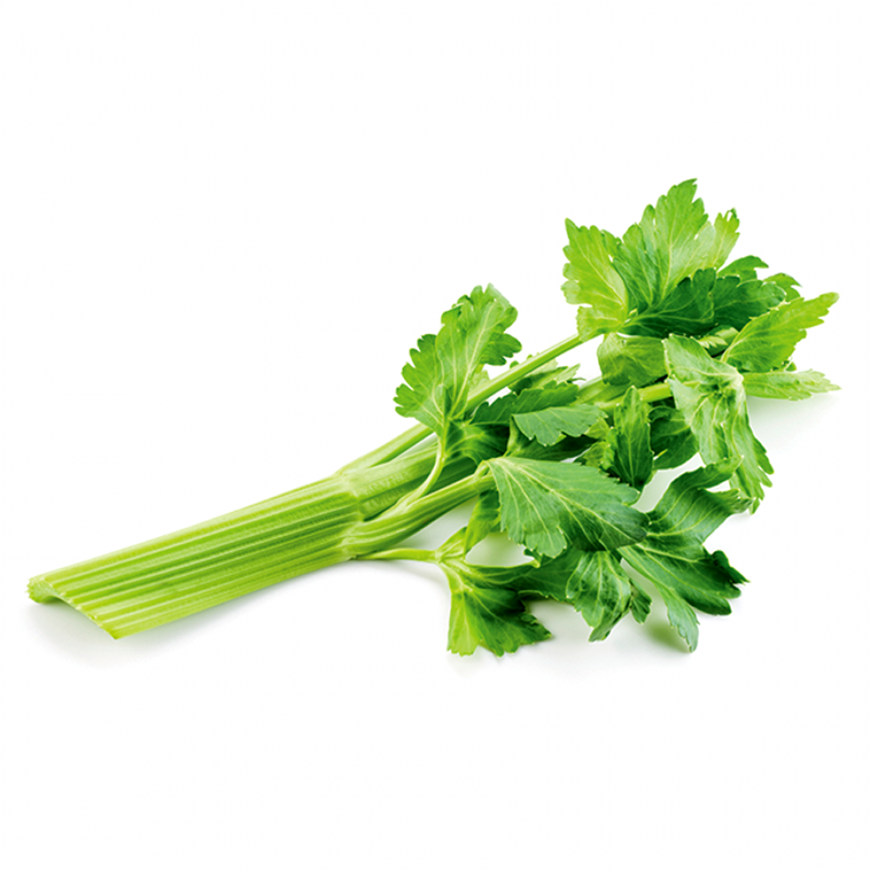 FRESH PRODUCE FRESH CELERY CHOPPED  @250G