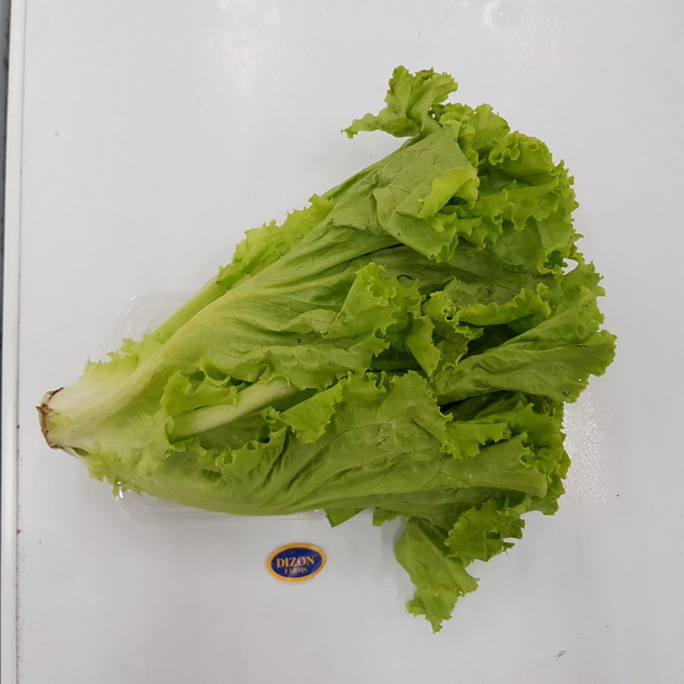 GLOBAL FRESH LETTUCE GREEN ICE SLICED  @250G