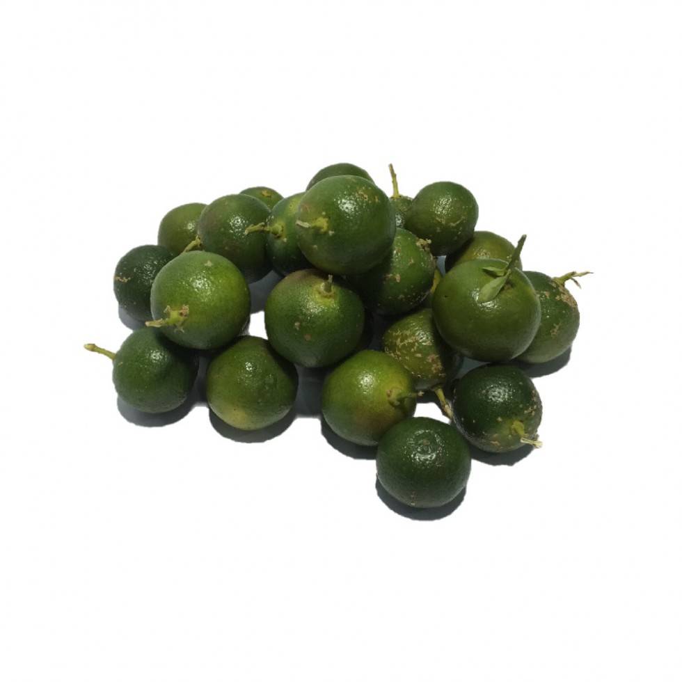 PG FRESH CALAMANSI (@250g)