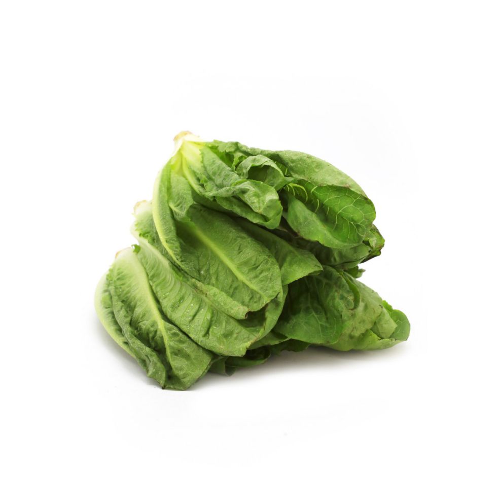 PG FRESH LETTUCE ROMAINE (@250g)
