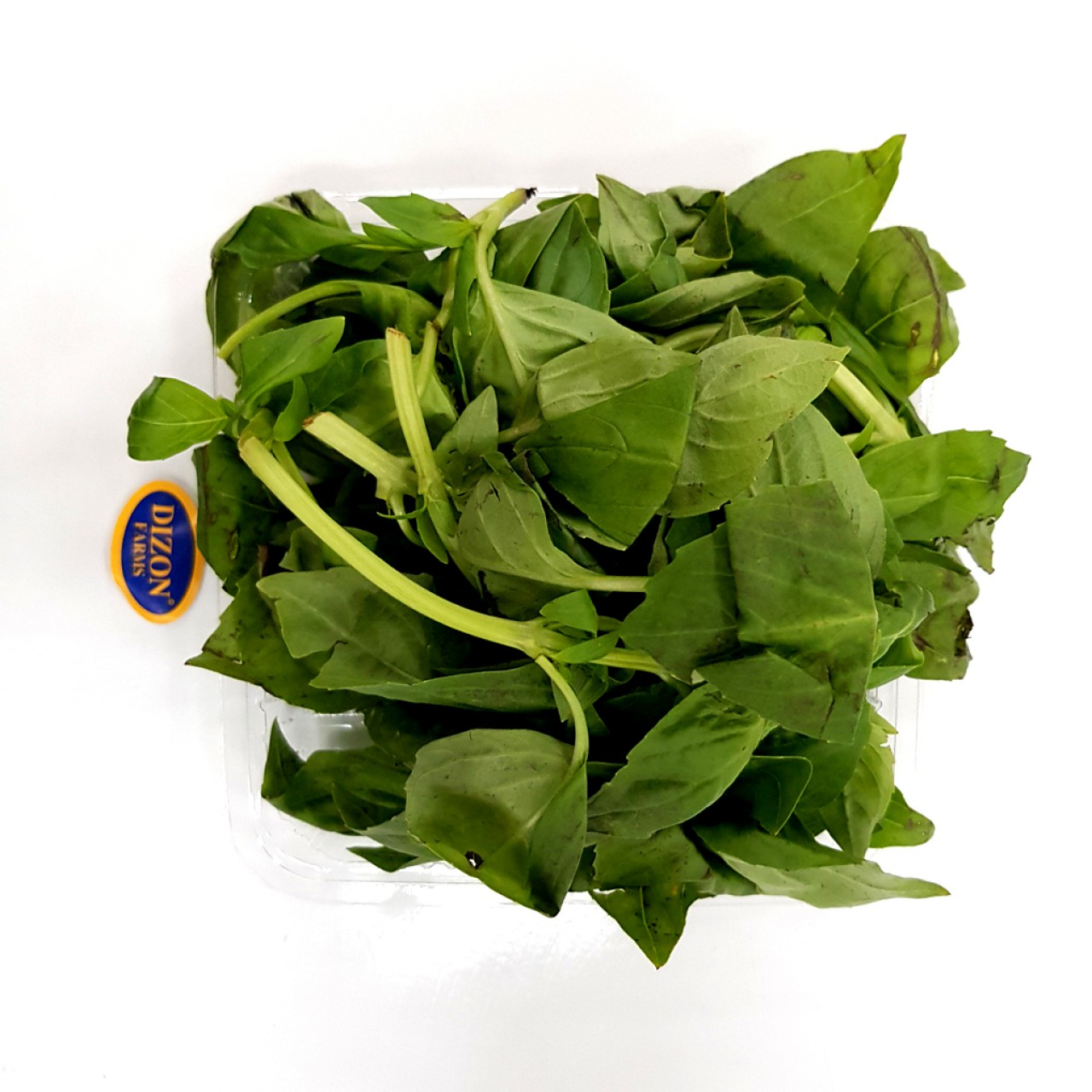 FRESH PRODUCE PG FRESH BASIL 25G, LEAVES  @250G