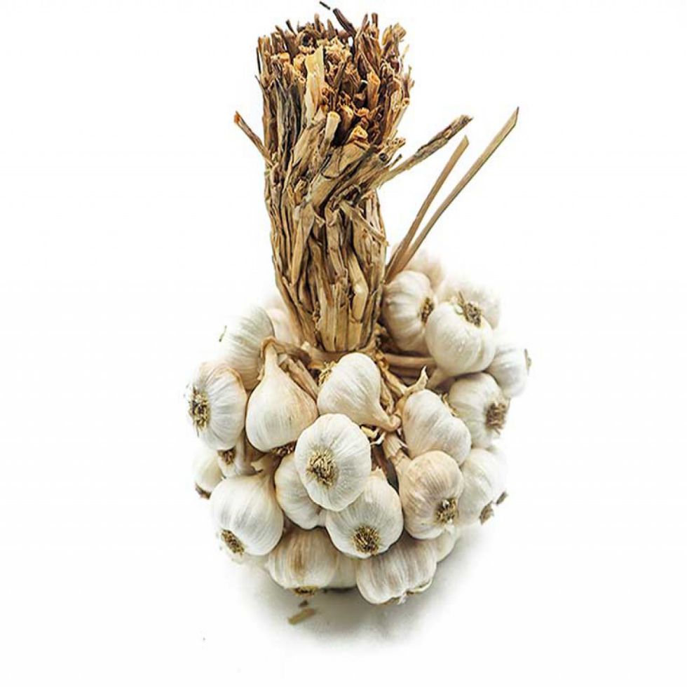 FRESH PRODUCE GARLIC NATIVE PDZ  KG  @250G