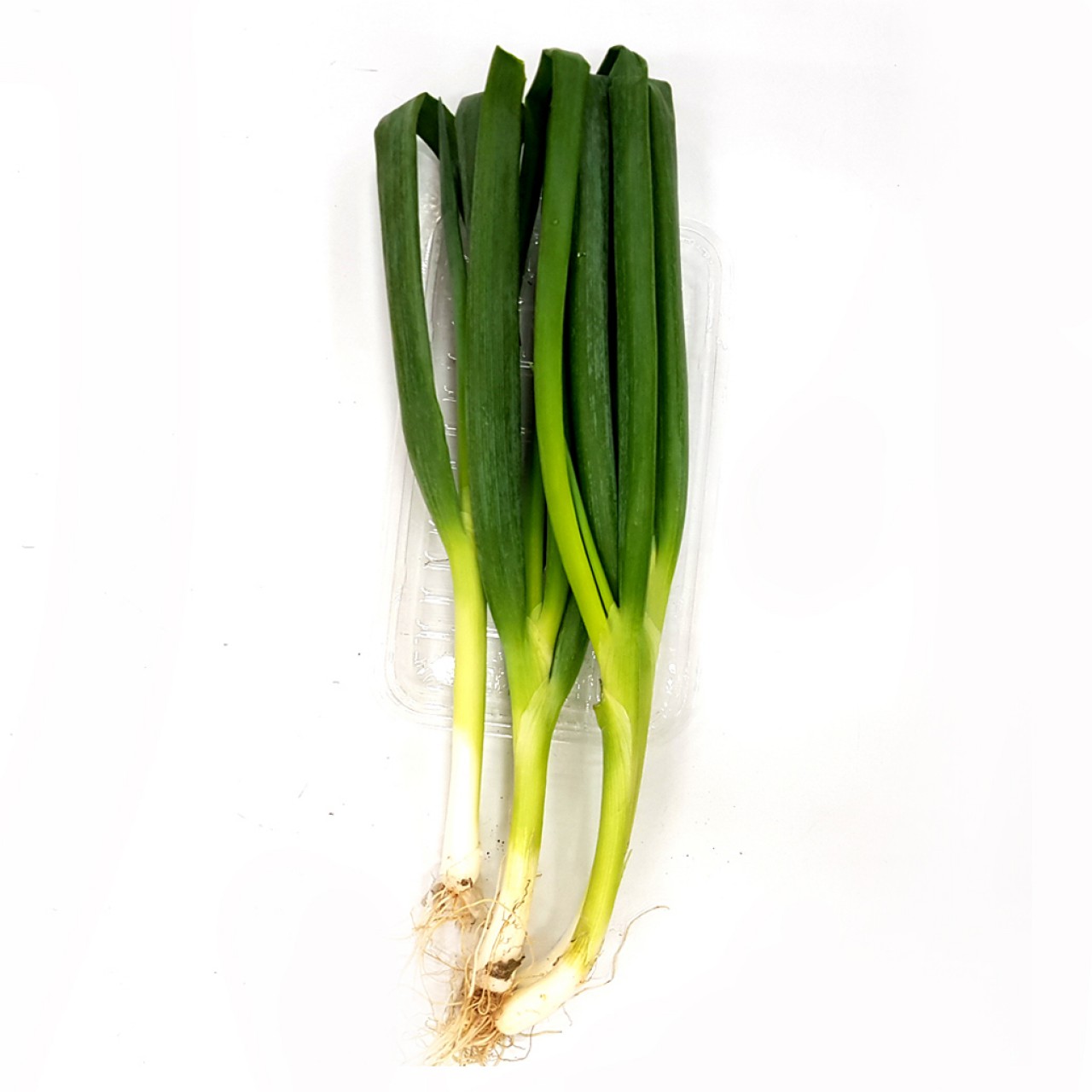 FRESH PRODUCE PG FRESH ONION LEEKS, CHOPPED  @250G