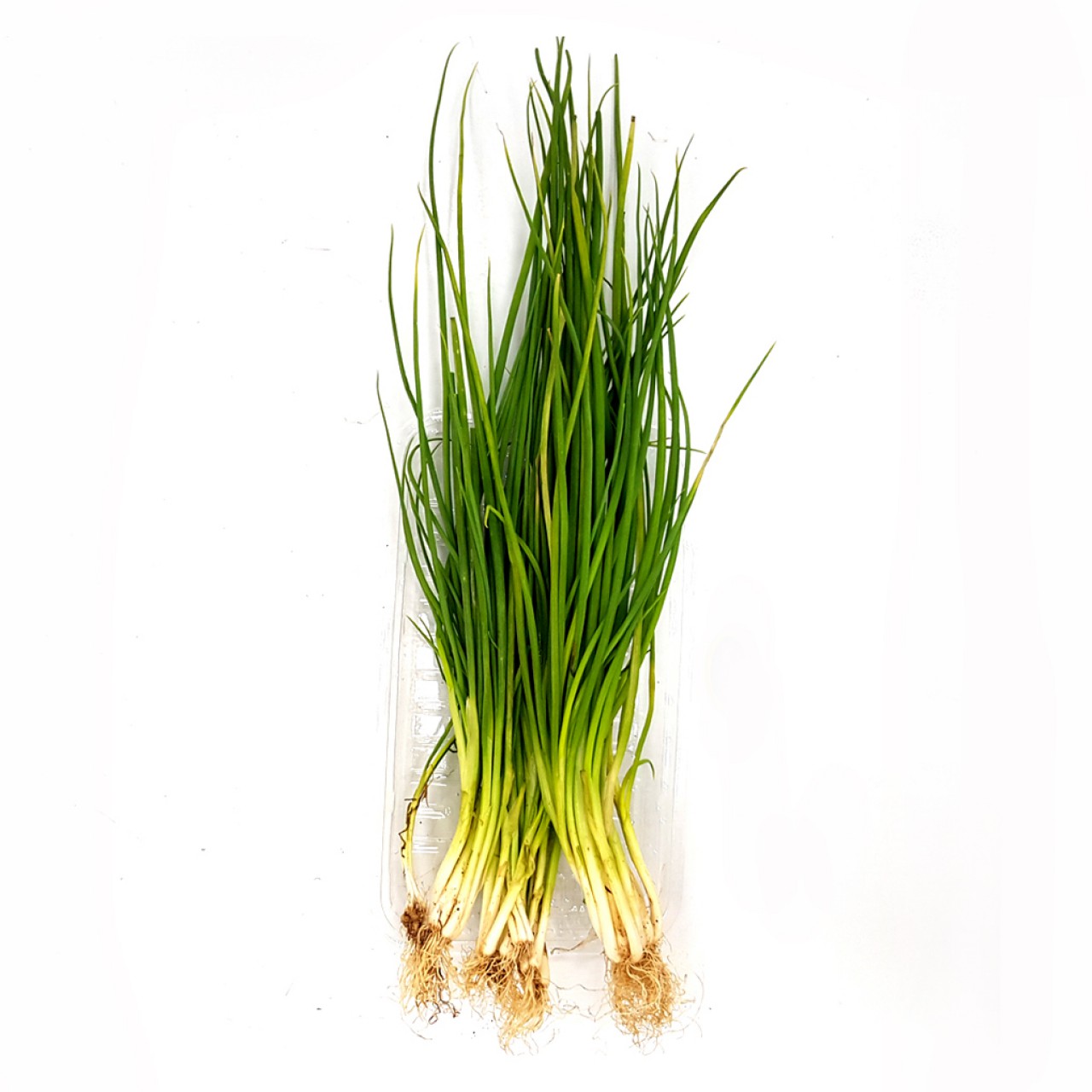 FRESH PRODUCE ONION SPRING, CUT INTO 2 INCHES LONG  @250G