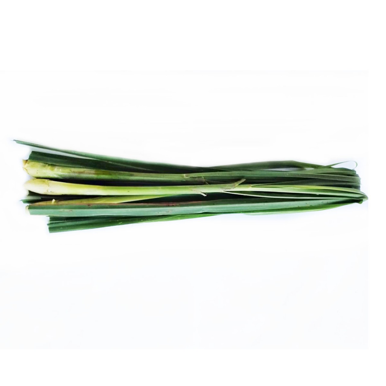 FRESH PRODUCE 2 STALKS PG FRESH TANGLAD, POUNDED  @250G