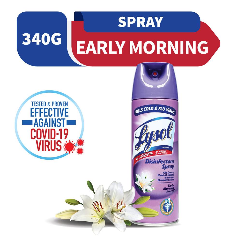 LYSOL DISINFECTANT SPRAY EARLY MORNING BREEZE 340G
